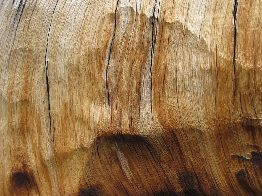 Holzboden aus Parkett