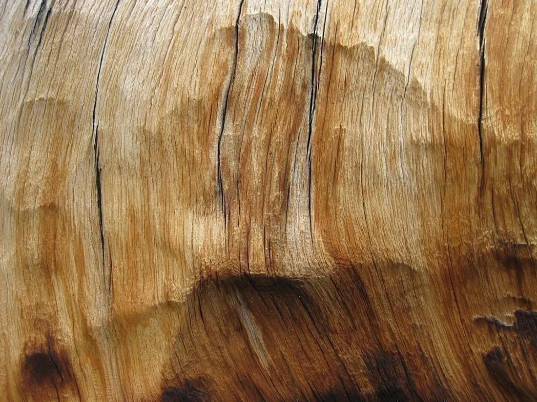 Holzboden aus Parkett