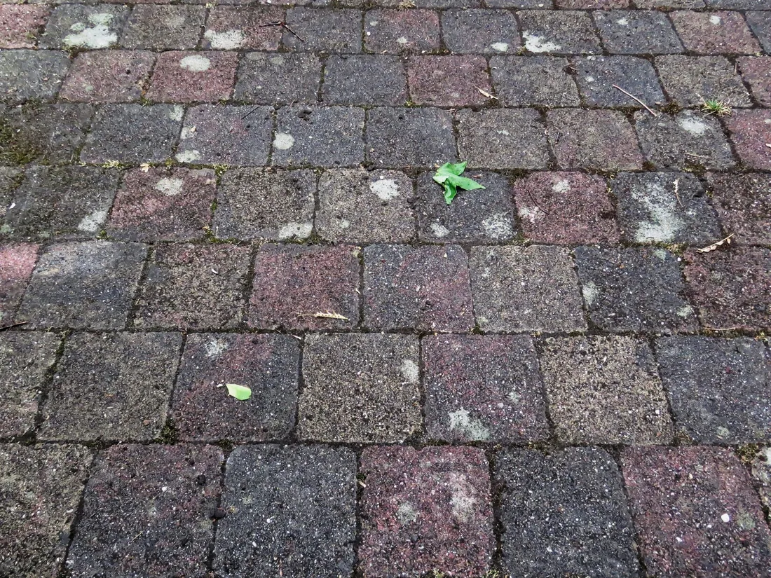 Verlegte Terrassenplatten